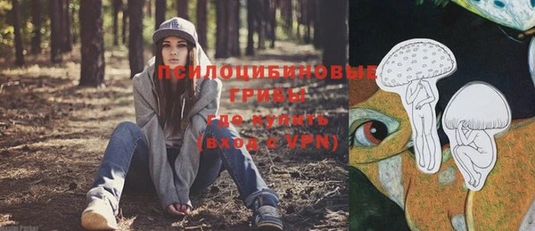 амф Алексеевка
